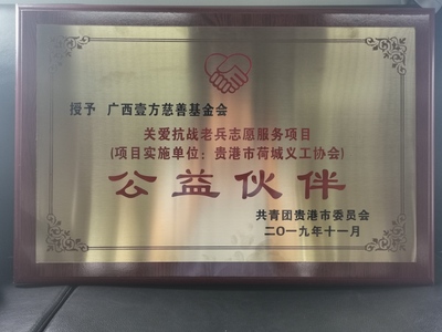 共青团贵港市委员会 授予“公益伙伴”称号